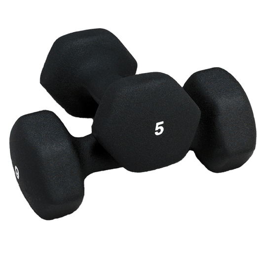 Hudson Steel Neoprene Dumbbells