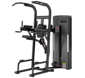 Hudson Steel Assisted Chin Up / Dip Station